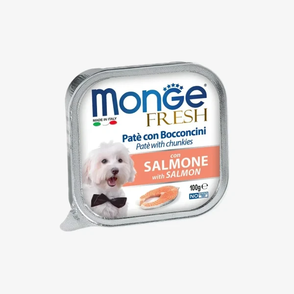 catalogue_background - 2026-01-14T114530.753.webp