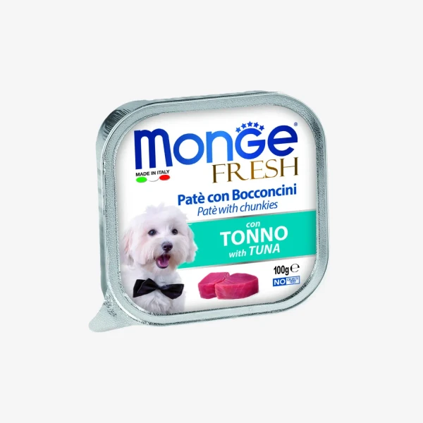 catalogue_background - 2026-01-14T115548.972.webp