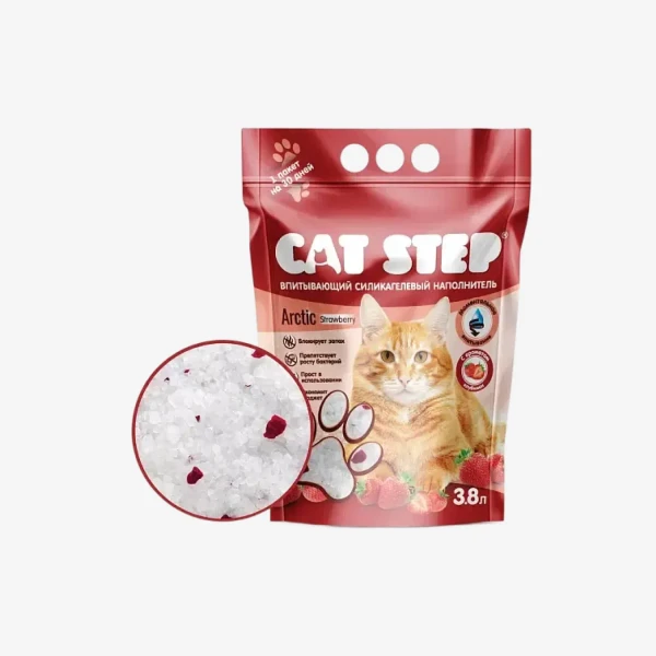 catalogue_background - 2026-01-15T221738.465.webp