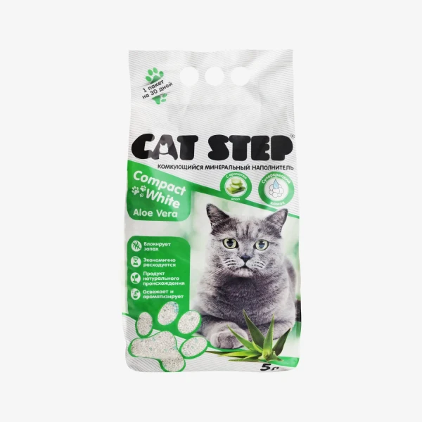 catalogue_background - 2026-01-15T235206.398.webp