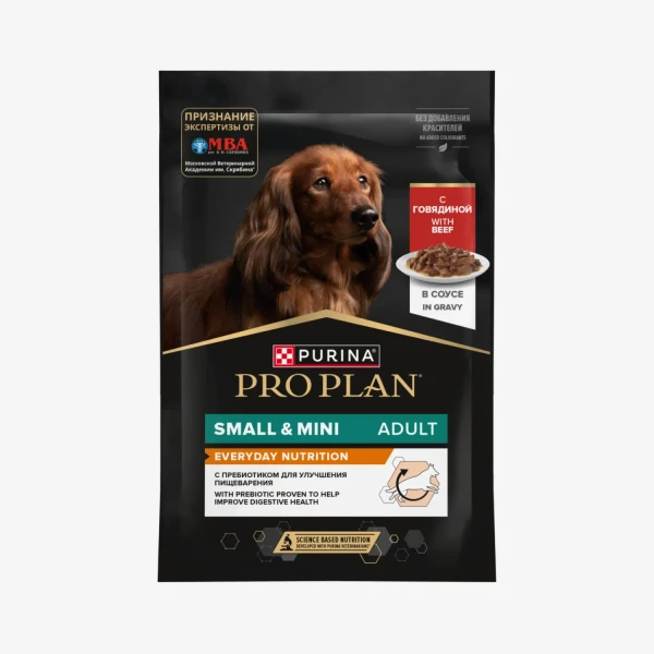 catalogue_background - 2026-01-19T134721.156.webp