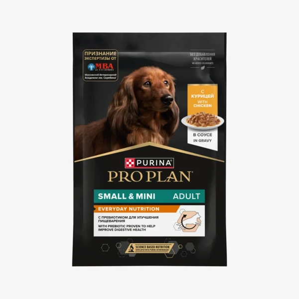 catalogue_background - 2026-01-19T135851.927.webp