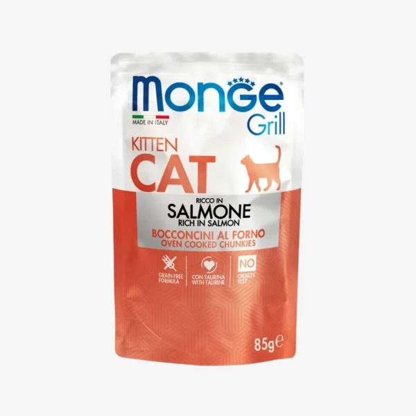 catalogue_background - 2026-01-21T154020.390.webp