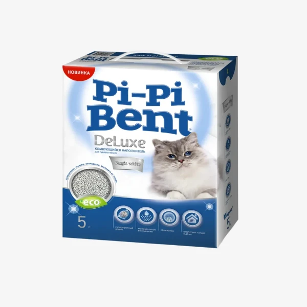 catalogue_background - 2026-01-22T193530.627.webp