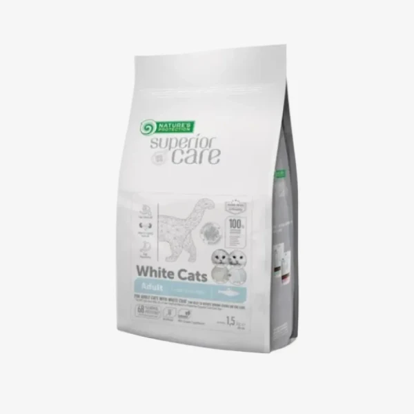 catalogue_background - 2026-01-22T205153.908.webp