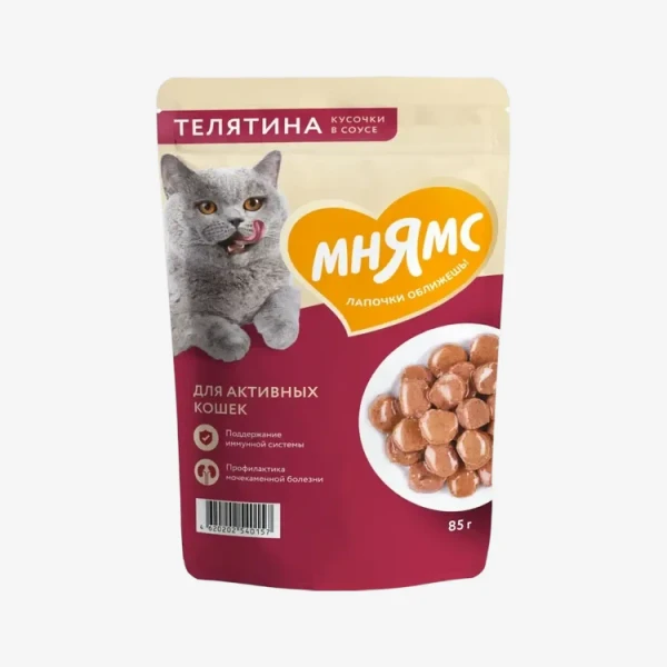 catalogue_background - 2026-01-24T133506.489.webp