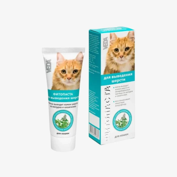 catalogue_background - 2026-01-27T184404.783.webp