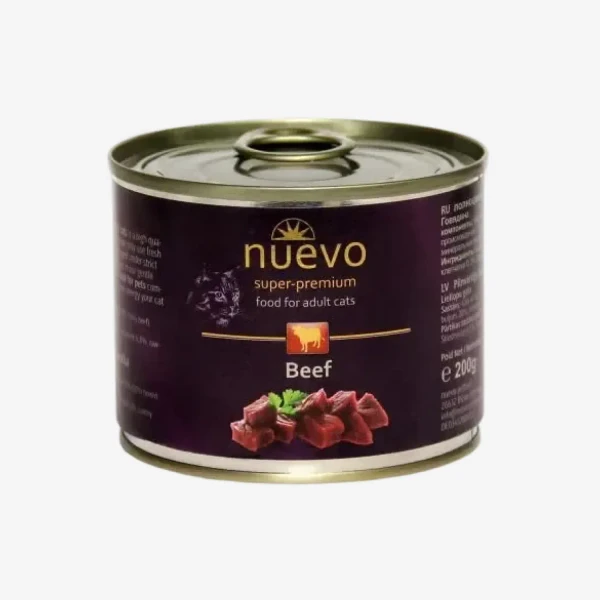 catalogue_background - 2026-01-28T202014.341.webp