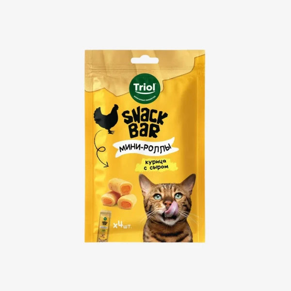 catalogue_background - 2026-01-29T114310.248.webp