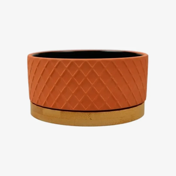 catalogue_background - 2026-01-30T124148.777.webp