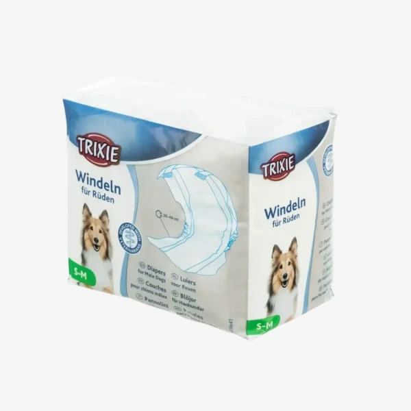 catalogue_background - 2026-02-02T133339.785.webp