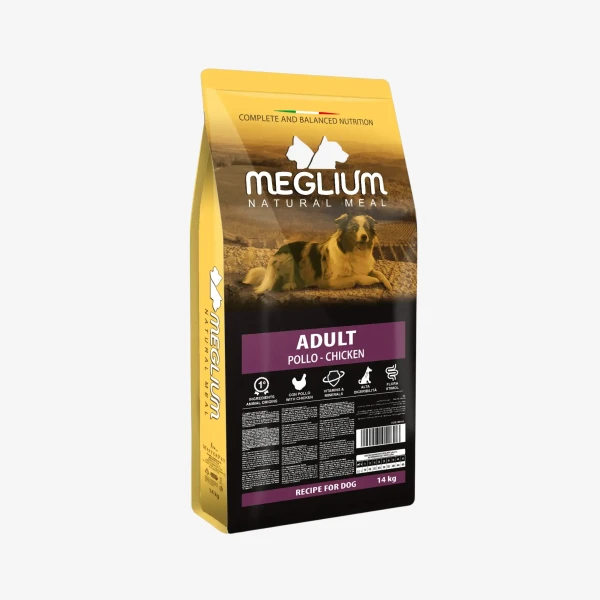catalogue_background_4x.webp