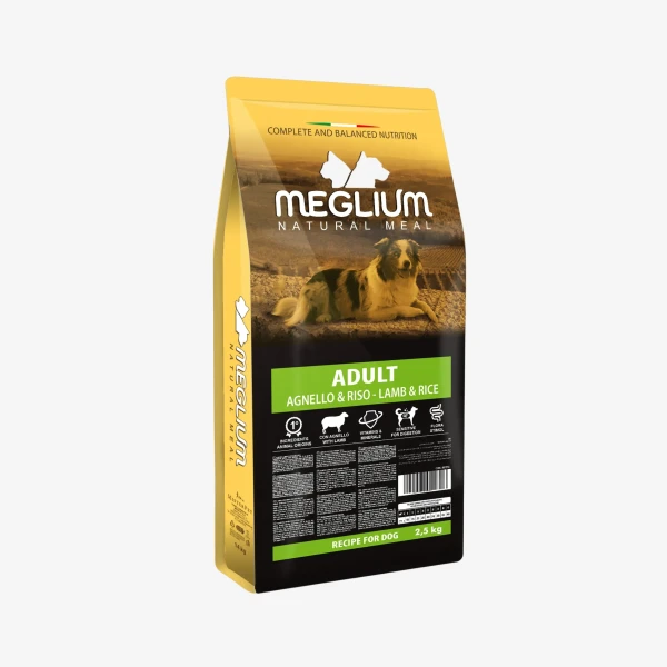 catalogue_background_4x.webp