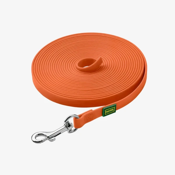 catalogue_background_4x (2).webp