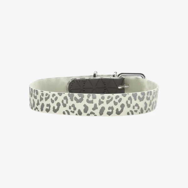 catalogue_background_4x (4).webp