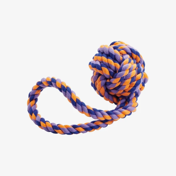 catalogue_background_4x (4).webp