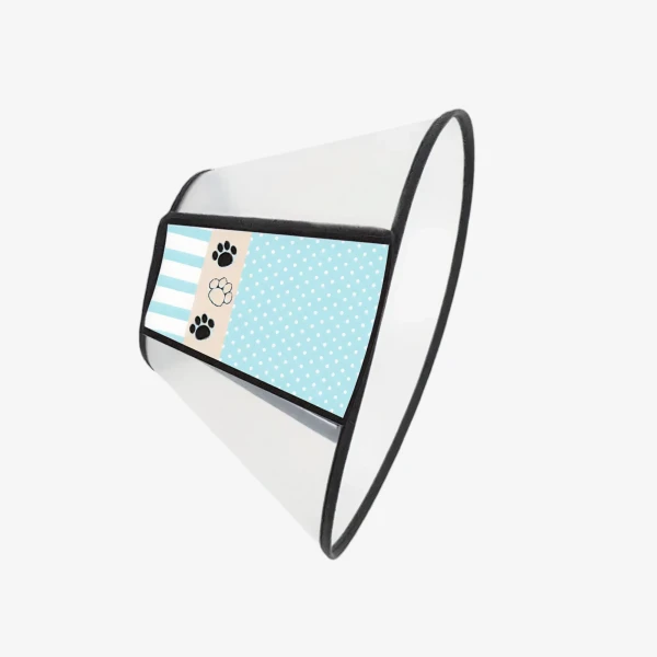 catalogue_background_4x.webp