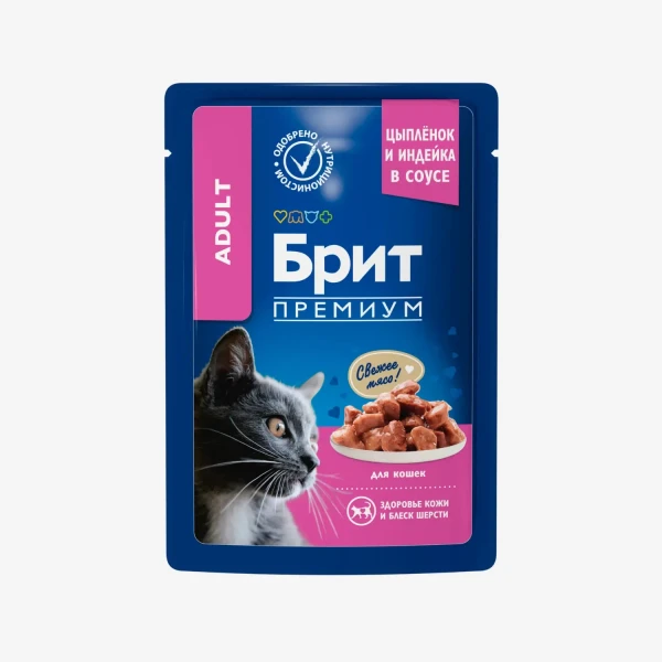 catalogue_background (55).webp