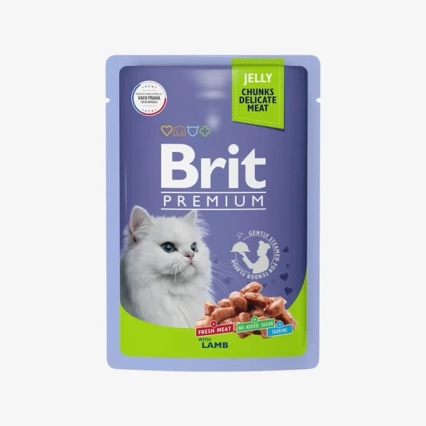 catalogue_background (57).webp