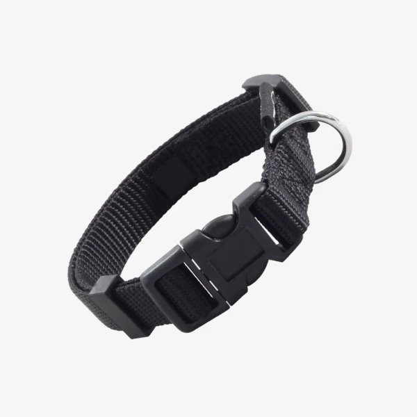 catalogue_background_5x (3).webp