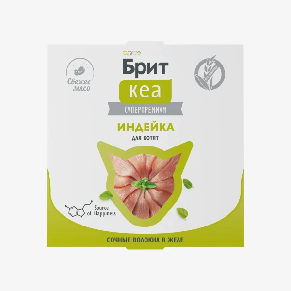 catalogue_background (64).webp