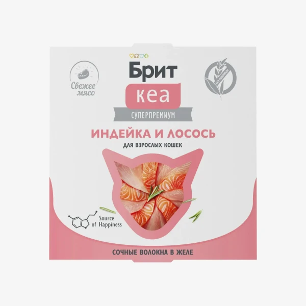 catalogue_background (69).webp