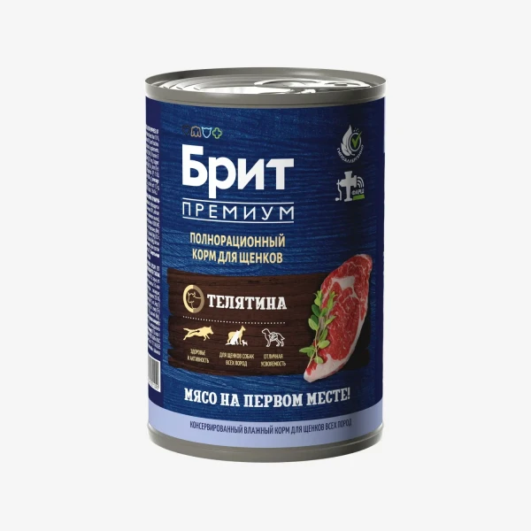 catalogue_background (81).webp