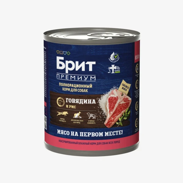 catalogue_background (93).webp