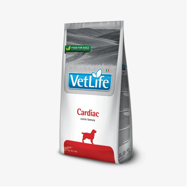 catalogue_background_savezone - 2026-06-10T173156.680.webp
