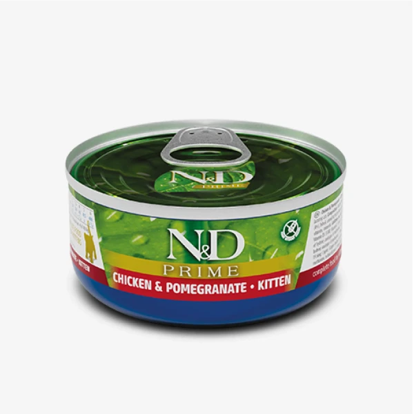 catalogue_background_savezone - 2026-06-15T165801.833.webp