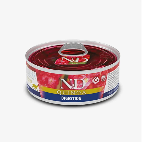catalogue_background_savezone - 2026-06-16T113912.349.webp
