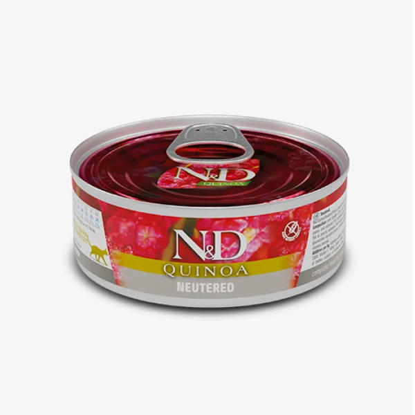 catalogue_background_savezone - 2026-06-16T143204.263.webp