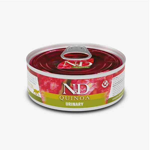catalogue_background_savezone - 2026-06-16T150148.002.webp