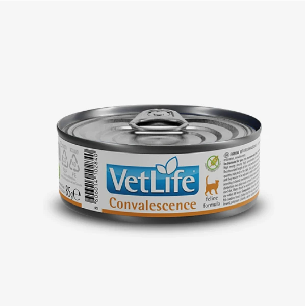 catalogue_background_savezone - 2026-07-14T154120.944.webp