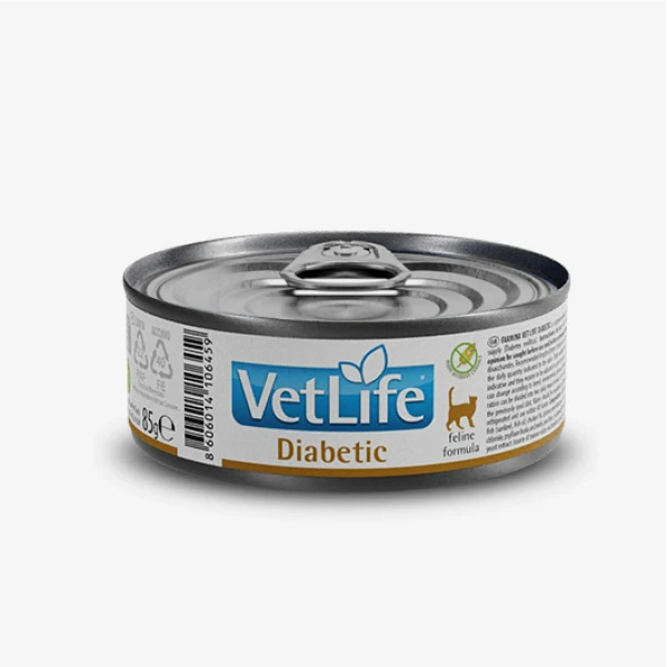 catalogue_background_savezone - 2026-07-14T154301.665.webp
