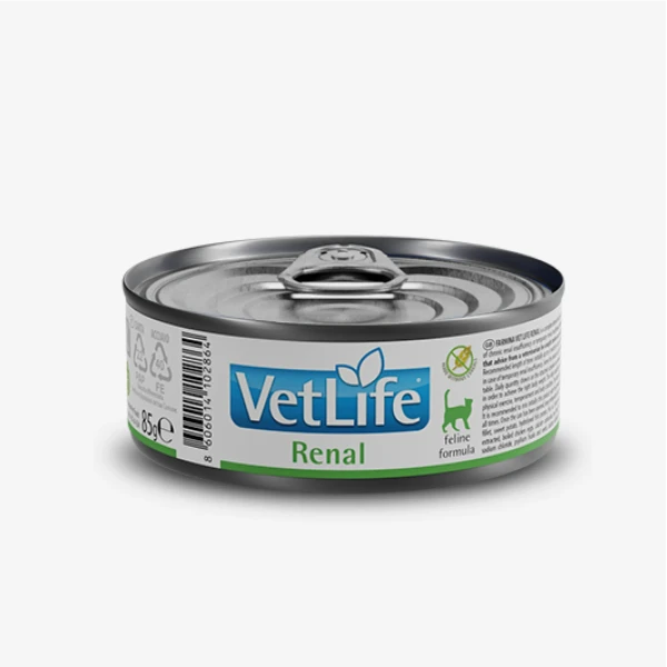 catalogue_background_savezone - 2026-07-14T155218.209.webp