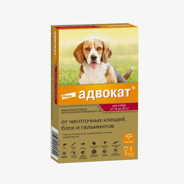 catalogue_background_savezone - 2026-08-11T122629.353.webp