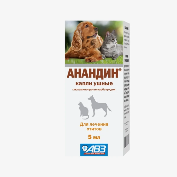 catalogue_background_savezone - 2026-08-11T144245.990.webp