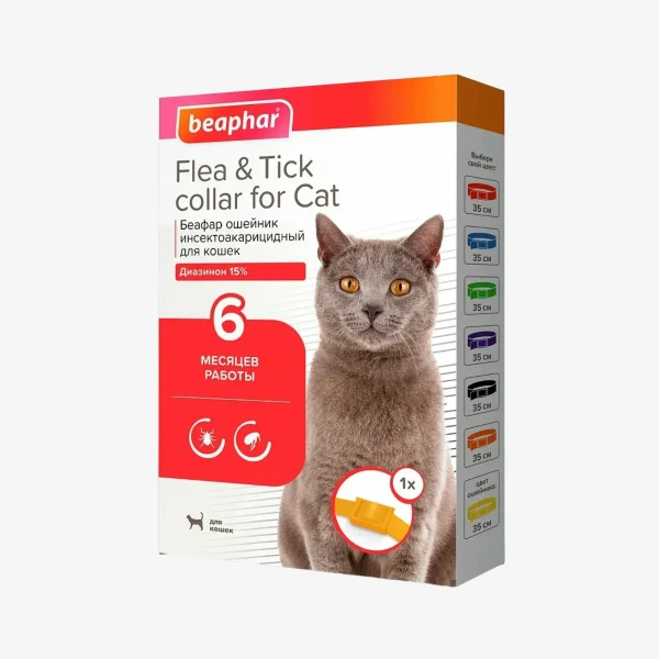 catalogue_background_savezone - 2026-08-25T120036.993.webp