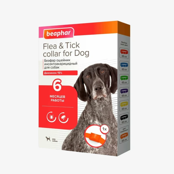 catalogue_background_savezone - 2026-08-25T132713.807.webp