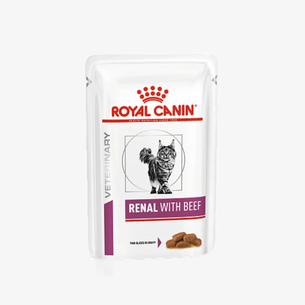 catalogue_background_savezone (21).webp