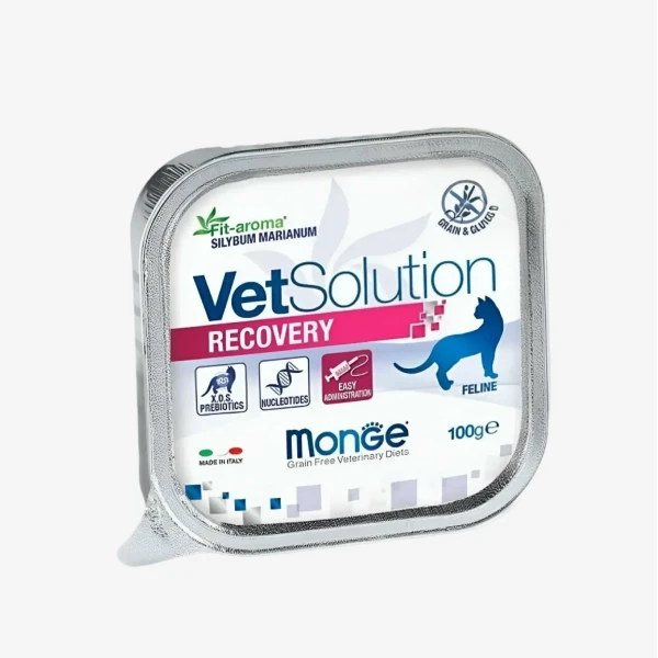 catalogue_background_savezone (54).webp
