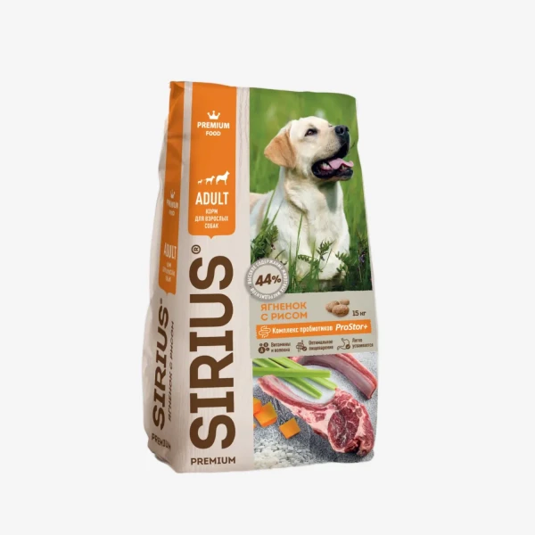 frame - 2026-02-13T110008.763.webp