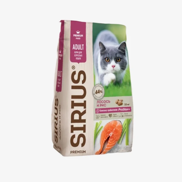 frame - 2026-02-13T112738.585.webp