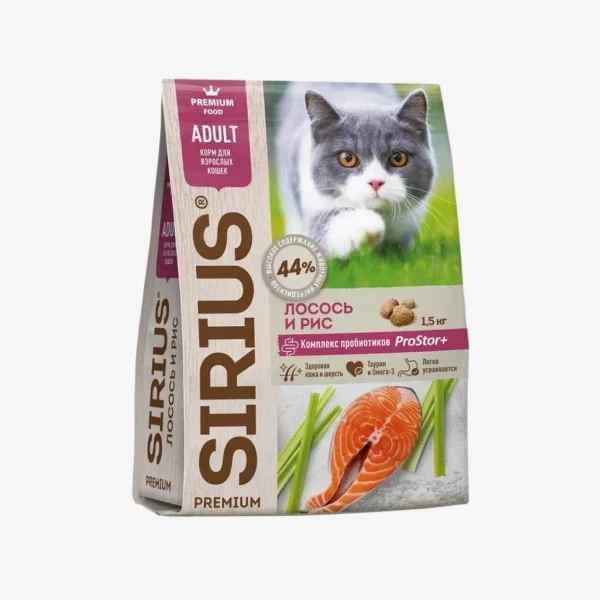 frame - 2026-02-13T121020.844.webp