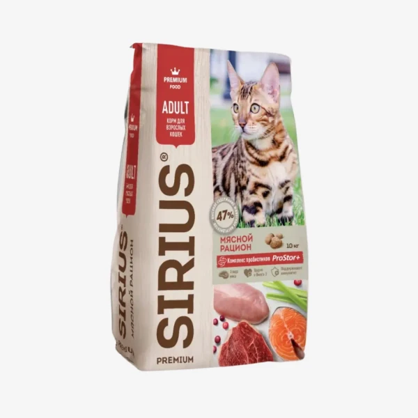 frame - 2026-02-13T122112.732.webp