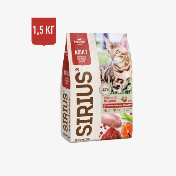 frame - 2026-02-13T123420.686.webp