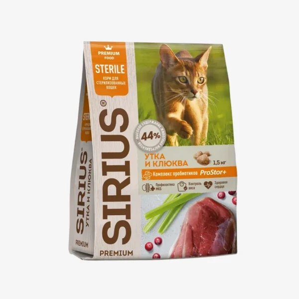 frame - 2026-02-13T125213.441.webp