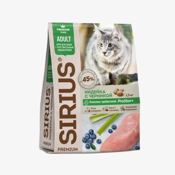 frame - 2026-02-13T130913.205.webp