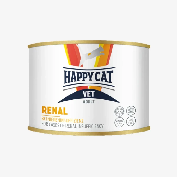 frame - 2026-02-13T154011.023.webp